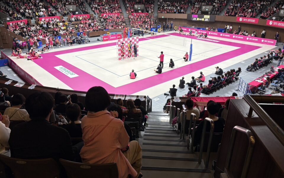 東京グレートベアーズ2025‐2026プレシーズンマッチ【運営サポート】 1